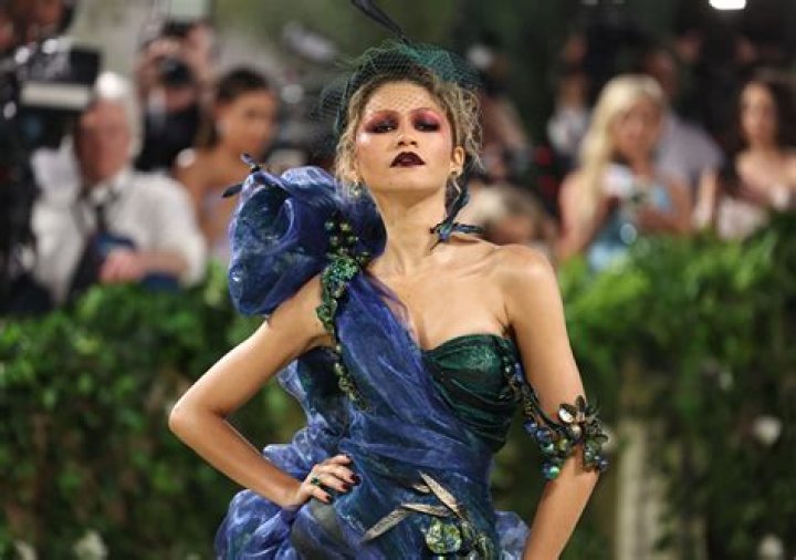 Why Zendaya’s Skipping The Met Gala In 2021 — Interview – Hollywood Life