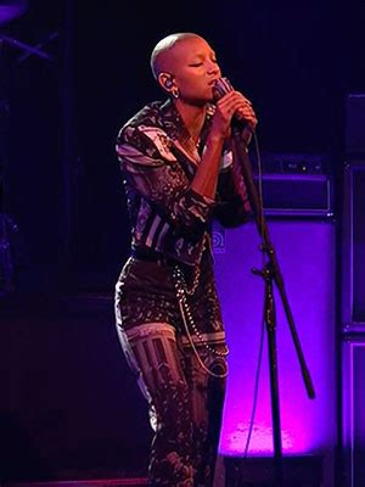Willow Smith Performs ‘Curious/Furious’ – Hollywood Life