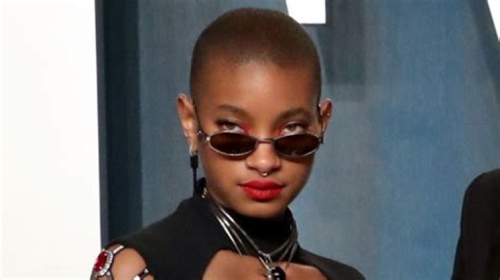 Willow Smith Rocks Crop Top & More Fierce Looks In New Video For Song With Travis Barker