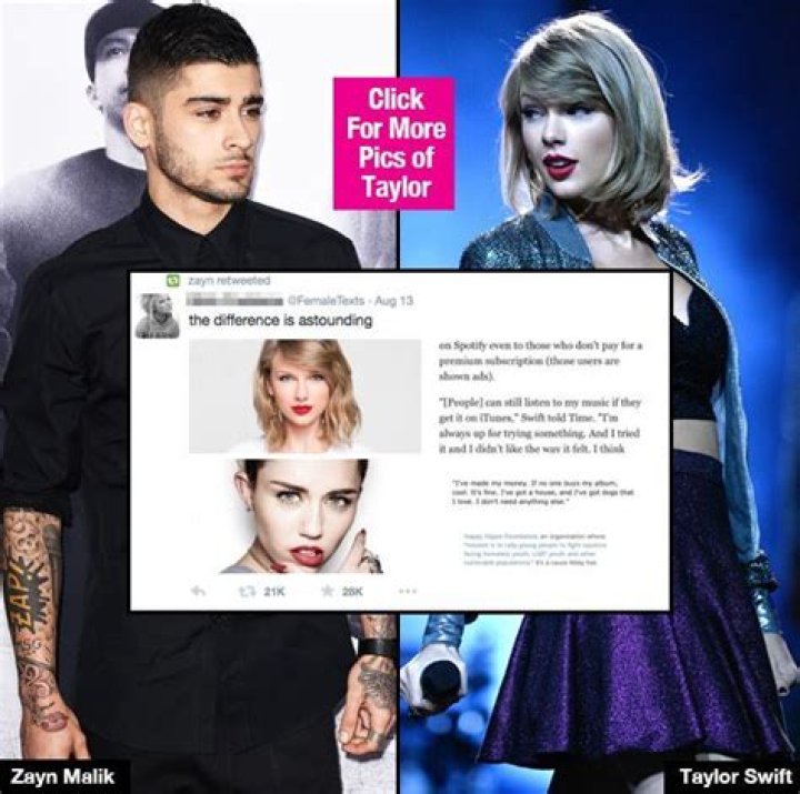 Zayn Malik Slams Taylor Swift After She Performed With Little Mix