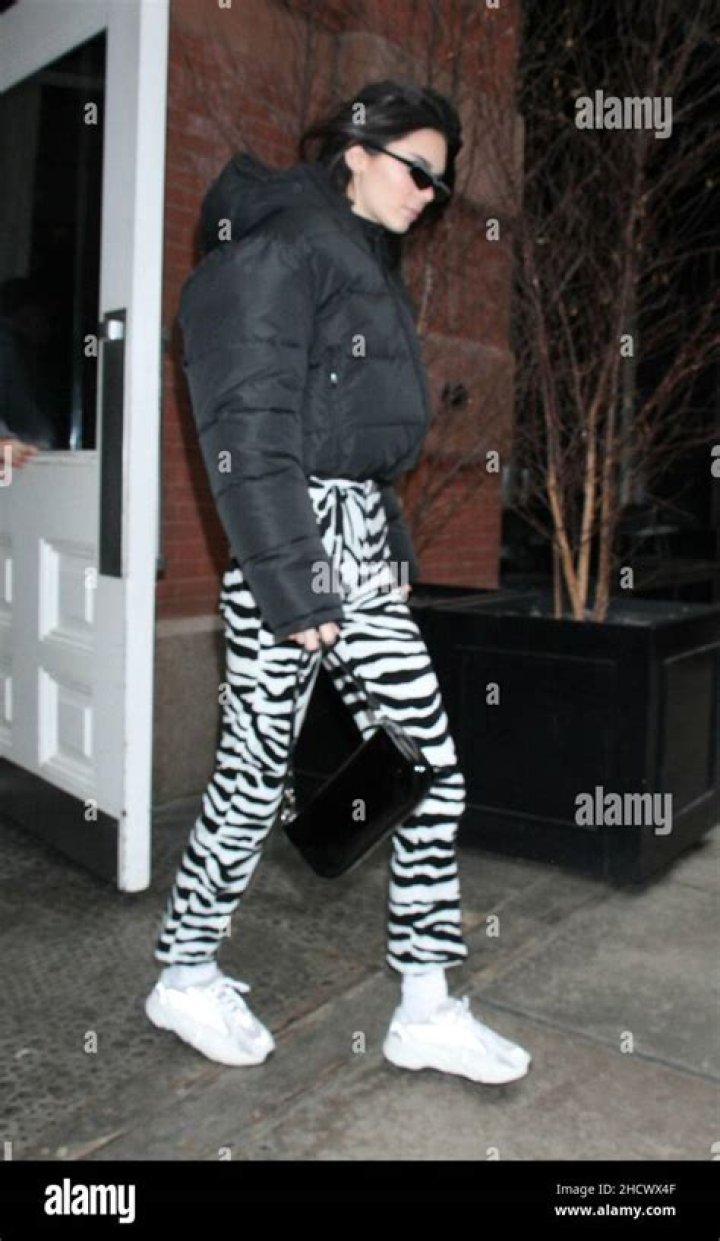 Zebra Print: Kendall Jenner, Kacey Musgraves & More Rocking The Sexy Animal Pattern